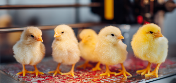 AI + 3D Printing Is Changing Everything